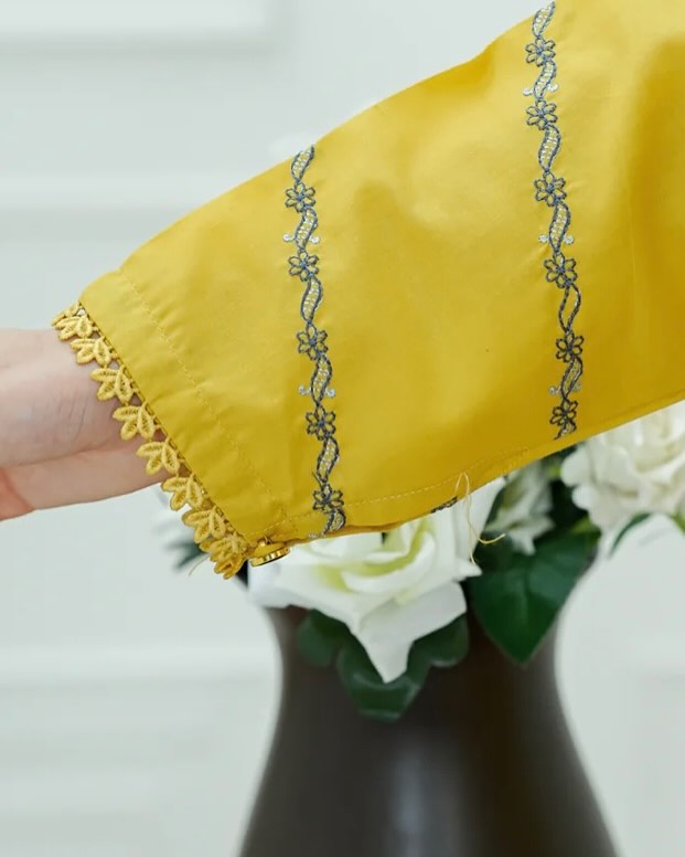 Shamsa 2 PCs Embroidered